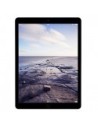 iPad Pro 13"